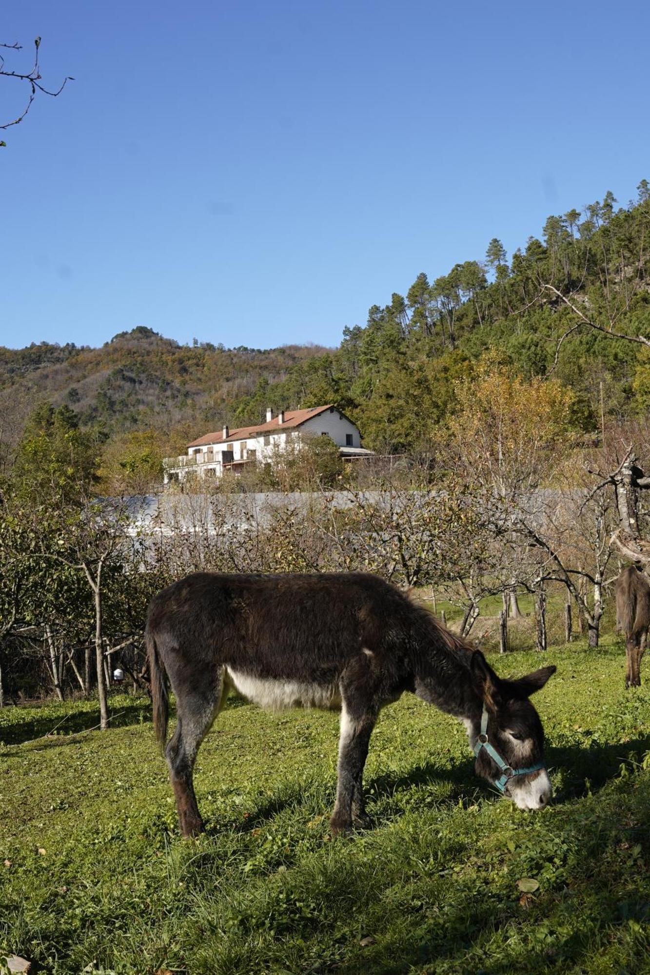 Agriturismo Ca du Chittu Carro Extérieur photo